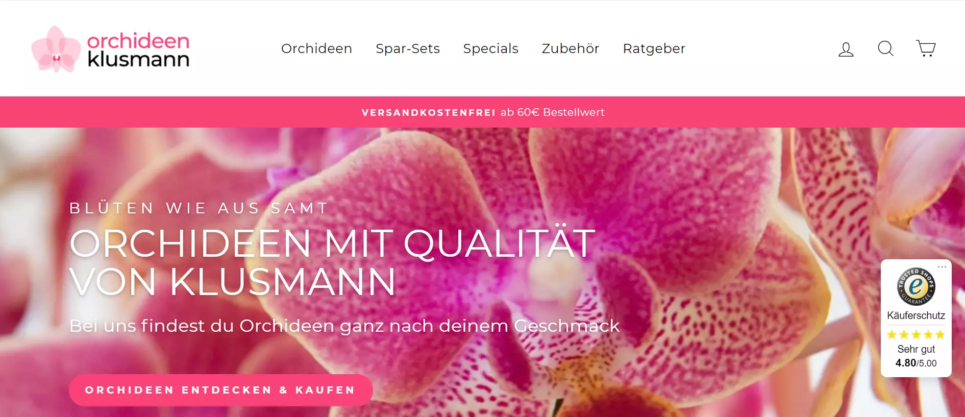 Orchideen Klusmann online