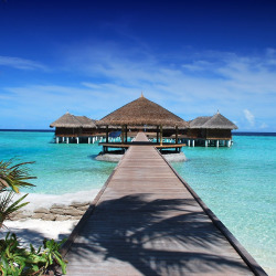 Last Minute Maldives