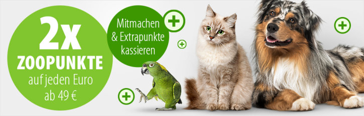 Zooplus Punkte